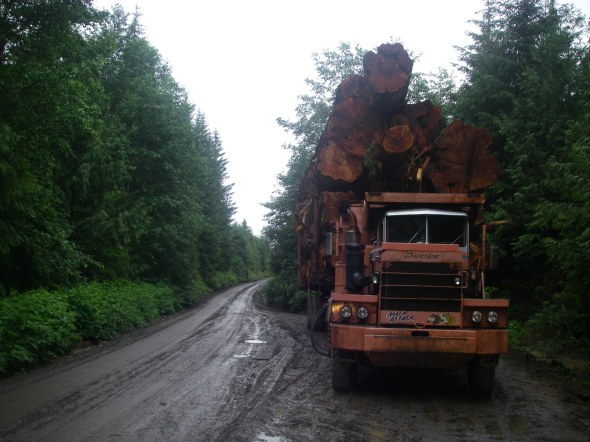 Vancouver Island Logging Road
